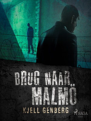 cover image of Brug naar Malmö